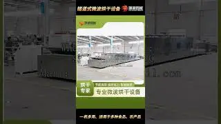 Di Long manufacturer microwave vacuum dryer (for Chinese medicinal herbs), microwave tunnel oven.