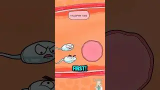 How Conjoined Twins are REALLY formed! #shorts #science