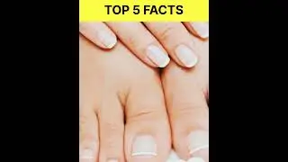 TOP 5 AMAZING FACTS IN HINDI#shorts #soundfact