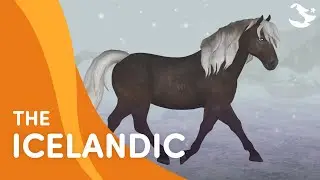 Meet the Icelandic Horse 🐎❄️ | Star Stable Breeds
