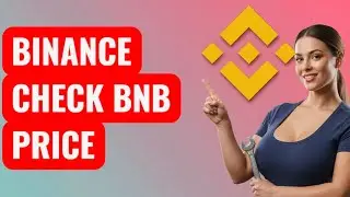 How to Check Binance Coin BNB Price in Real Time