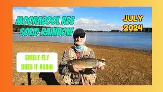 SOLID MOORABOOL RESERVOIR  RAINBOW. July 2024
