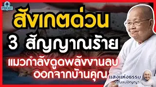 สังเกตด่วน! 3 สัญญาณร้าย แมวกำลัง ดูด พลังงานลบออกจากบ้านคุณ วิธีล้างอาถรรพ์บ้านร้อน ปรับฮวงจุ้ยแมว