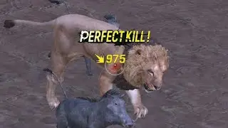 hunting sniper Tour 15 Game play  3 Match series