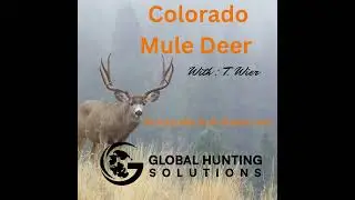 200-Inch Colorado Mule Deer | Global Hunting Solutions with Travis Wier