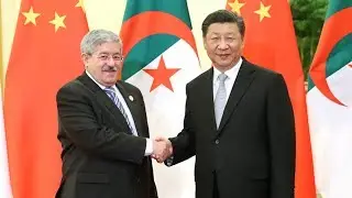 China and Algeria vow to enhance pragmatic cooperation