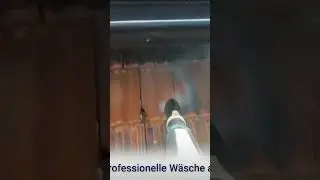 Reinigung des Daches