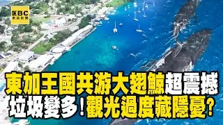 【精選】東加王國「共游大翅鯨」觀光過度藏隱憂！塑膠垃圾變多＋人類干預生態「經濟生態怎求平衡」？！ @EARTHFOCUS_EBC ｜舒夢蘭