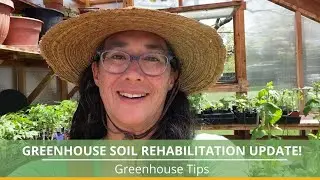 Greenhouse Soil Rehabilitation Update and Tour!