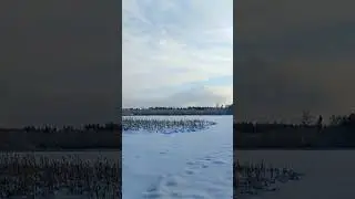 КРАСОТА