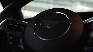Mustang Black Shadow 2020