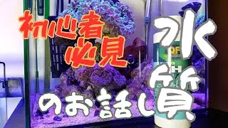 【アクアリウム】水質のお話し/難しい機材や添加剤が無くても楽しめますよ