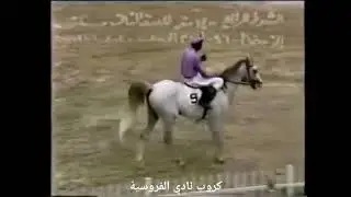 الصنف الثالث /زين الربيع / حسين عبدالواحد