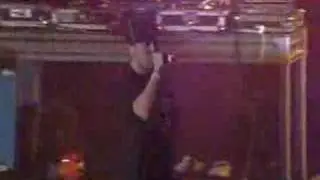 Hilltop Hoods -  Nosebleed Section (live)