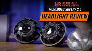 The Best & Brightest 7