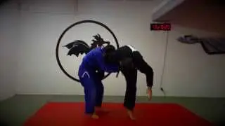 Single Leg Defense