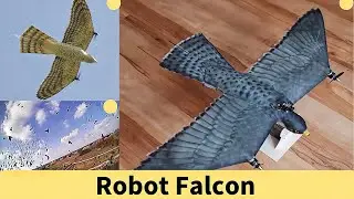 NEW Technology 2023 l Robot Falcon l Technology Products