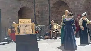 A court dance at a baroque festival - h&ouml;fischer Tanz am Barockfest.