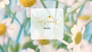Biniște // Timp Drămuit