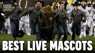 Best and Worst Live College Mascots | Chris Vernon Show