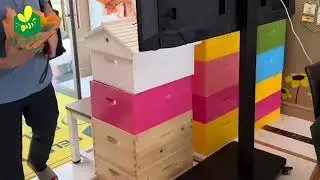 Honey Supply Chain Transparency: 5-Step Apiary to Factory Tour