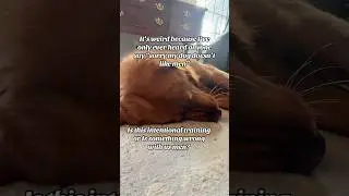 Будучи мужчиной, мне нужны ответы!
