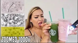 STARBUCKS UNDER A MICROSCOPE