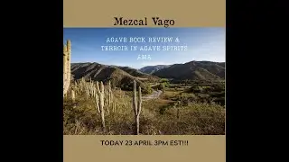 Samson & Surrey TV: Mezcal Vago Thursday AMA with Francisco Terrazas