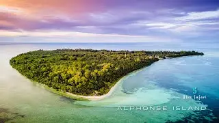 Introducing Alphonse Island