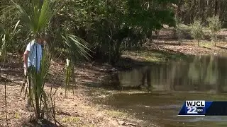 Wildlife experts provide gator safety as mating season approaches in SC