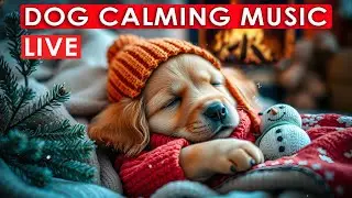 LIVE Dog Sleep Sounds for Anxiety &mdash; Soft Comfort & Deep Rest
