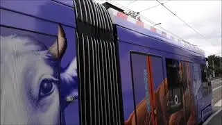 CAF Urbos AXL 510 (Milka image) - Tallinn 2022 HD