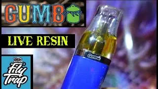 GUMBO DISPOSABLE REVIEW