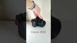 Is this the Best Budget DSLR for 2025?