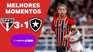 MELHORES MOMENTOS SÃO PAULO 3 X 1 BOTAFOGO