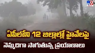 Heavy Fog In AP  : ఏపీలోని 12 జిల్లాల్లో హైవేలపై నెమ్మదిగా సాగుతున్న ప్రయాణాలు - TV9
