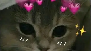 @hmru