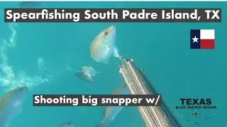 Spearfishing South Padre Island, 2021 season highlights