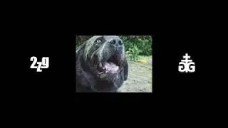 terfak & capuze - 