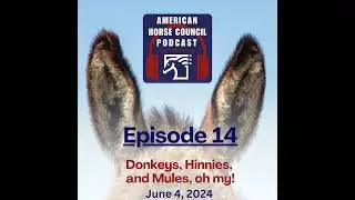 Donkeys, Hinnies, and Mules - Oh My! for June 4th, 2024 by The American Horse Council