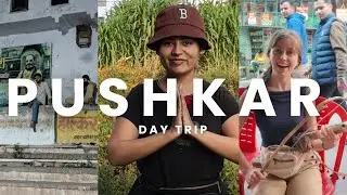 Pushkar Day Trip from Jaipur | Mini Vlog | Temples, Rose Farm & Village Life