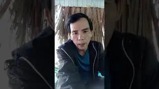 Khoảnh khắc nổi bật từ 20:33 đến 25:33 trong út dầu tiếng youtube  đang phát trực tiếp!