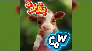 Arabic has some of the coolest names for animals