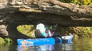 Kayaking limbos