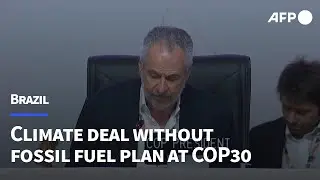 Nations seal climate deal without fossil fuel plan at COP30 in Brazil | AFP