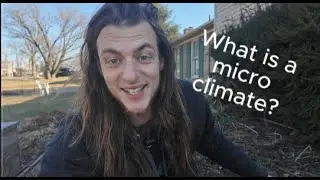 How can micro climates effect your garden?