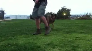 K9Conservatory Kurt BAITS/builds FOCUS/HEEL orientation w Spirit