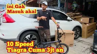 Sepeda Lipat Mewah UNITED BLACK HORSE 10Speed Tiagra Lagi Clearance SALE