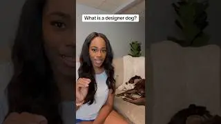 🐶What are designer DOGS? #dogmomyoutube #dogmom #designerdogs #puppy #seniordog