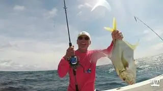 Nice African Pompano Action At Cebaco Bay